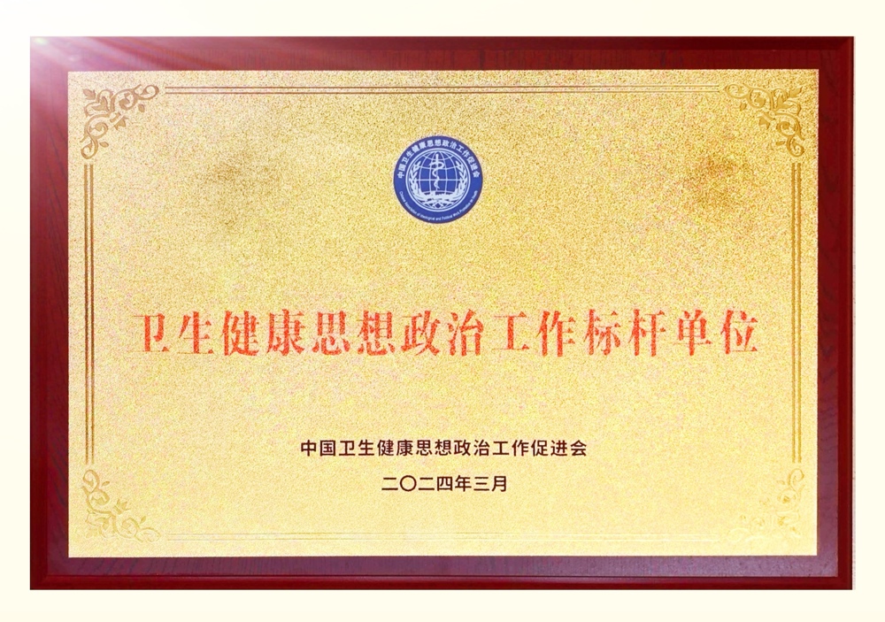 三亚中心医院（海南省第三人民医院）荣获全国卫生健康思想政治工作标杆单位照片