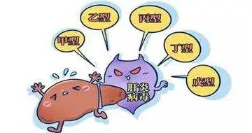 “2+3”健康服务包系列之病毒性肝炎出现的六大症状要警惕！