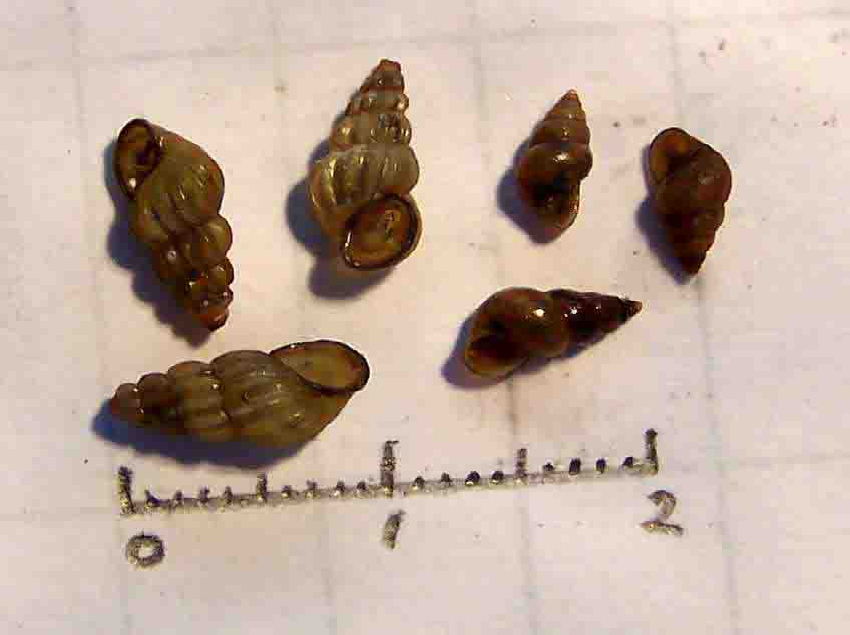 微信图片_20240419161915.png 微信图片_20240419161915.png