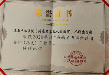 儿科团支部2020年度海南省五四红旗团支部