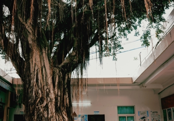 Humanistic Hospital|Reviewing the Hospital's Founding History and Continuing the Reclamation Spirit-Listening to the Founding Veterans Tell the Story of the Hospital's Establishment