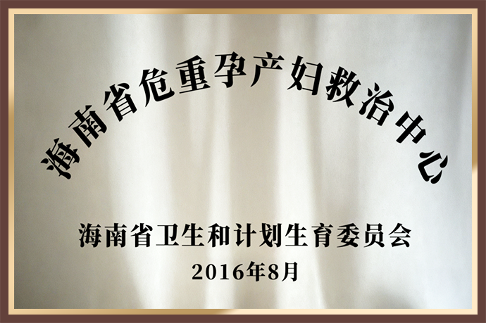 海南省危重孕产妇救治中心